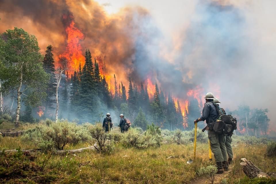 Suspect faces million dollar bail in deadly wildfire case